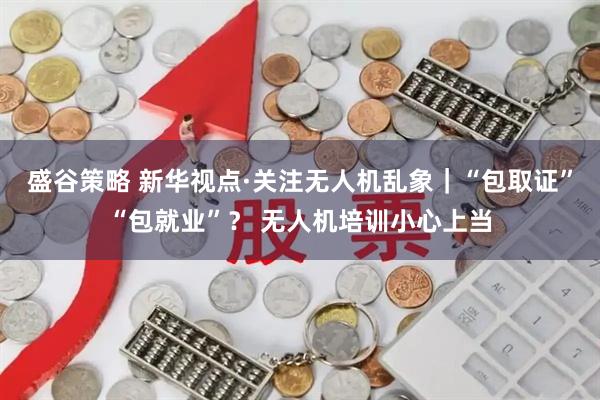 盛谷策略 新华视点·关注无人机乱象｜“包取证”“包就业”？ 无人机培训小心上当
